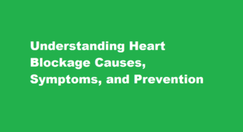 Understanding Heart Blockage Causes, Symptoms, and Prevention