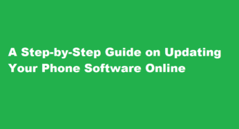 A Step-by-Step Guide on Updating Your Phone Software Online