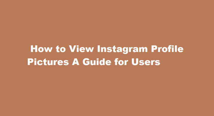 How to view Instagram profile pictures