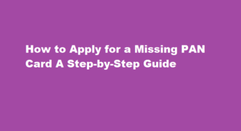 How to Apply for a Missing PAN Card A Step-by-Step Guide