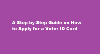 A Step-by-Step Guide on How to Apply for a Voter ID Card