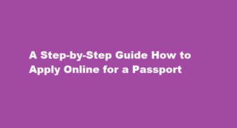 A Step-by-Step Guide How to Apply Online for a Passport