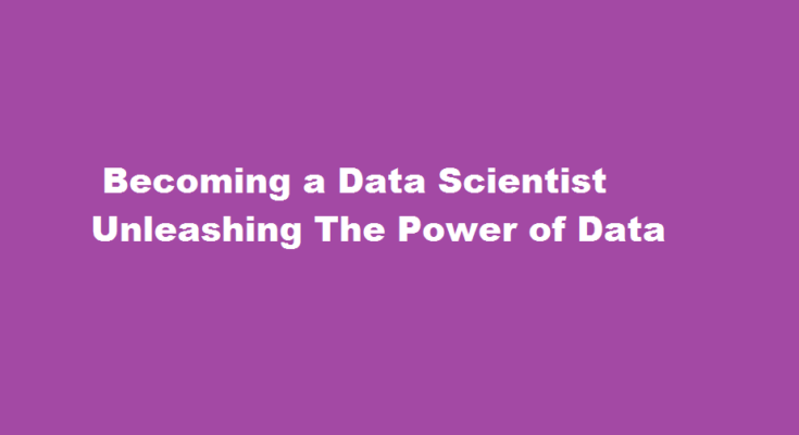 how to be a data scientist
