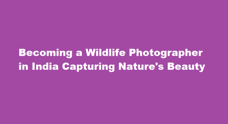 how to be a wildlife photographer in india