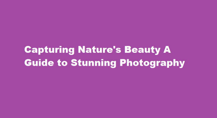 how to capture nature beautifully in your cameras