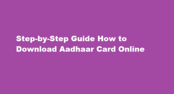 Step-by-Step Guide How to Download Aadhaar Card Online
