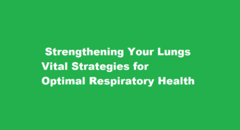  Strengthening Your Lungs Vital Strategies for Optimal Respiratory Health