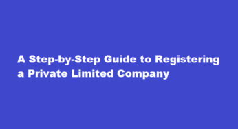 A Step-by-Step Guide to Registering a Private Limited Company