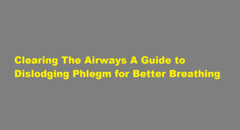 Clearing The Airways A Guide to Dislodging Phlegm for Better Breathing
