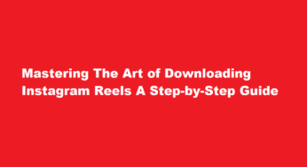 Mastering The Art of Downloading Instagram Reels A Step-by-Step Guide