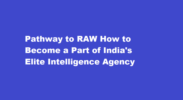 How to get into RAW