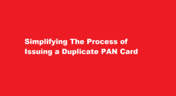 Simplifying The Process of Issuing a Duplicate PAN Card