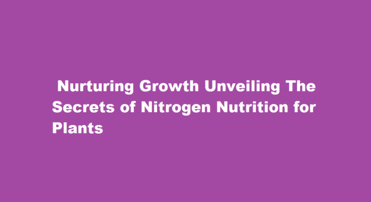 How to provide nitrogen to plants