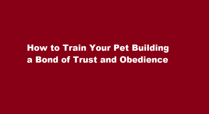 How to train your pet