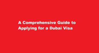 A Comprehensive Guide to Applying for a Dubai Visa