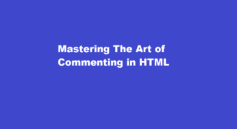 Mastering The Art of Commenting in HTML