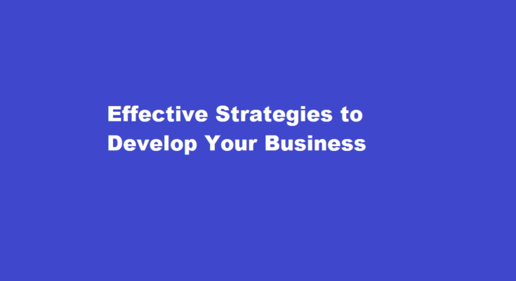 how to develop business