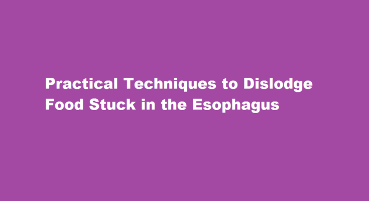 how to dislodge food stuck in oesophagus