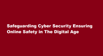 Safeguarding Cyber Security Ensuring Online Safety in The Digital Age
