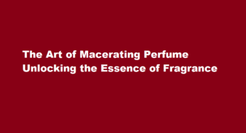 The Art of Macerating Perfume Unlocking the Essence of Fragrance