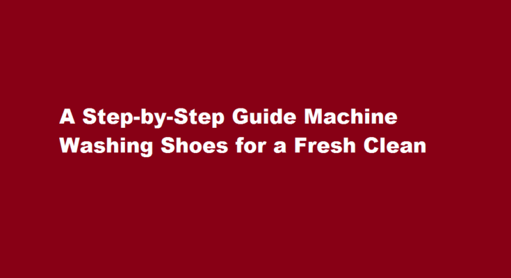 how to machine wash shoes