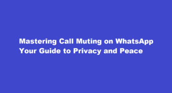 Mastering Call Muting on WhatsApp Your Guide to Privacy and Peace
