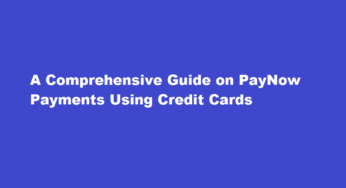 A Comprehensive Guide on PayNow Payments Using Credit Cards