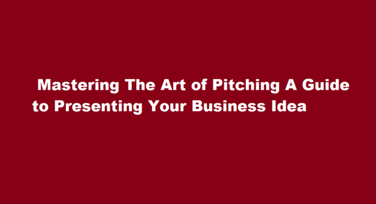 how to pitch a business idea