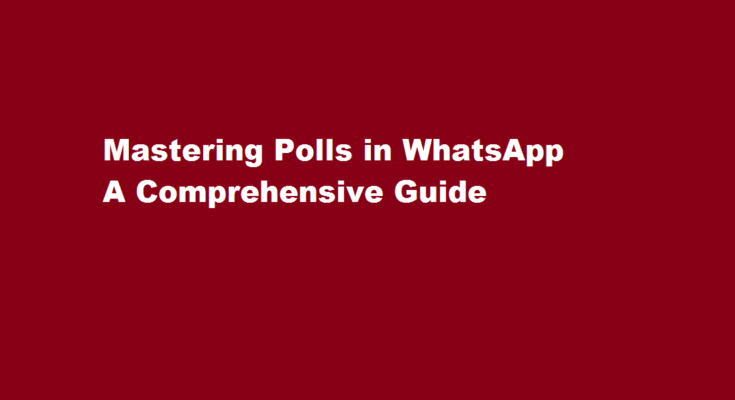 how to poll in WhatsApp