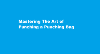 Mastering The Art of Punching a Punching Bag
