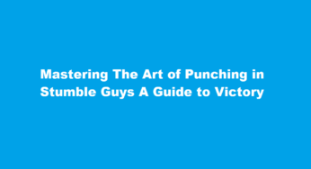 Mastering The Art of Punching in Stumble Guys A Guide to Victory