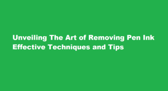 Unveiling The Art of Removing Pen Ink Effective Techniques and Tips