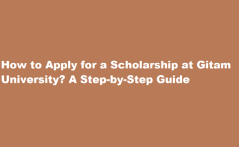 How to apply for a scholarship at Gitam University