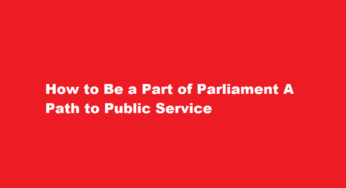How to Be a Part of Parliament A Path to Public Service
