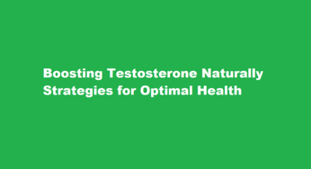 Boosting Testosterone Naturally Strategies for Optimal Health