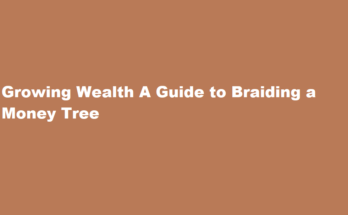 How to braid a money tree