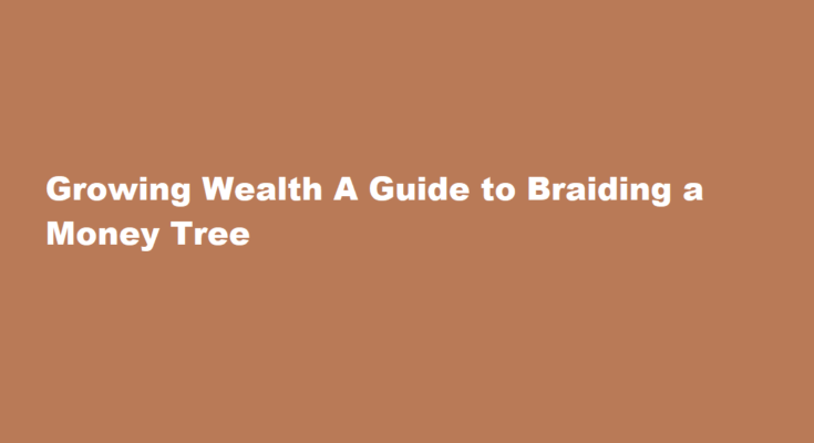 How to braid a money tree