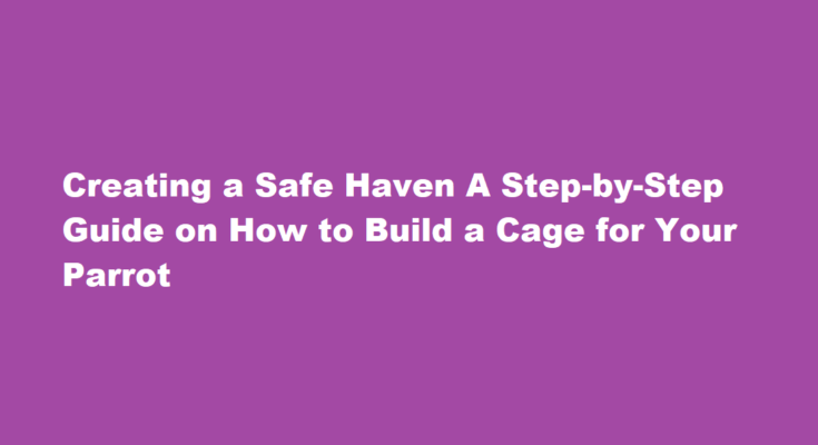 How to build a cage for your parrot