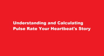 Understanding and Calculating Pulse Rate Your Heartbeat’s Story