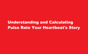 How to calculate pulse rate