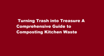  Turning Trash into Treasure A Comprehensive Guide to Composting Kitchen Waste