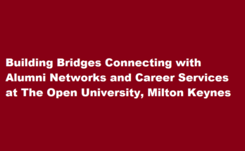 How to connect with alumni networks and career services