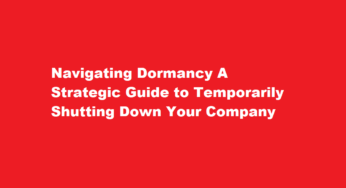 Navigating Dormancy A Strategic Guide to Temporarily Shutting Down Your Company