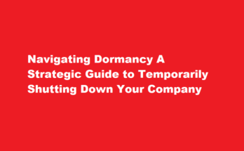 How to dormant a company