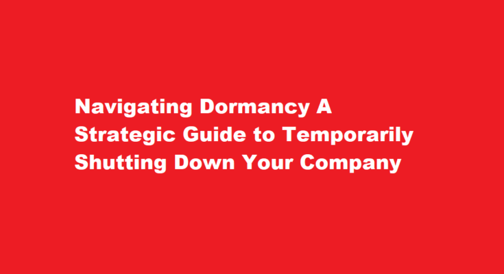 How to dormant a company
