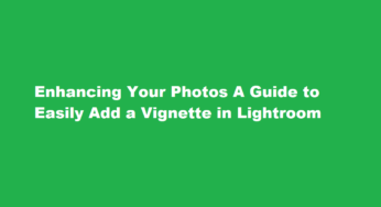 Enhancing Your Photos A Guide to Easily Add a Vignette in Lightroom