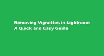 Removing Vignettes in Lightroom A Quick and Easy Guide