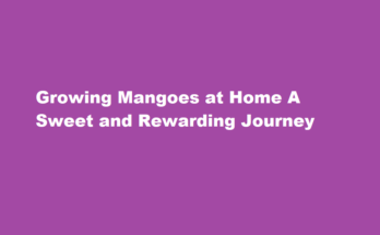 How to grow mangoes at home