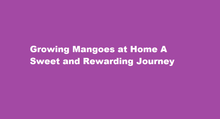 How to grow mangoes at home