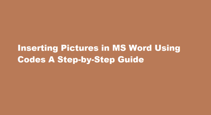 How to input pictures in ms Word through codes